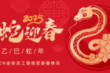 辭舊迎新，蛇舞華章丨深圳容金科技全體員工祝您新春快樂(lè)！