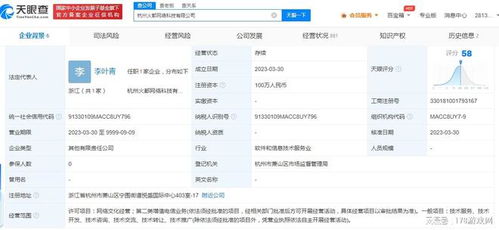 九玩網(wǎng)絡投資成立新公司，深耕網(wǎng)絡技術服務新紀元